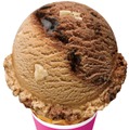 サーティワン新作「ブッシュ ド チョコレート」ほろ苦コーヒーフレーバー×ケーキ食感の贅沢な味わい 画像
