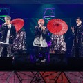 NEWS、3人での東京ドーム「強く夢見ていました」結成20周年で決意新たに＜ライブ直前コメント＞ 画像