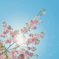 肩こりで“老け見え”が進行する!? 更年期にこそ取り入れたい、漢方×インナーケアのすすめ 画像