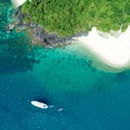 「世界でいちばん大きな生命は？」ゾウでもクジラでもない「意外なもの」を主張するその理由と聞いてみたら思いのほか深かった