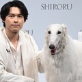 SixTONES松村北斗、メンバーとスキンケア談義「自分の素肌と向き合う時間が増えた」 画像