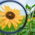 【小学校受験】志願倍率トップ10は？人気校にみる、今どき家庭が求める教育 画像