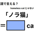 英語で「ノラ猫」はなんて言う？ 画像