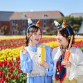 画像はイメージ（C）Mercis bv