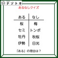 あるなしクイズです！「桜にあって梅にない！」答えは美味しいアレ！【難易度LV２.・甘口】 画像