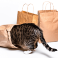 買い物から帰宅した飼い主　愛猫が盗んだまさかの物に「食べれるんだ！」