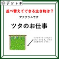 クイズです！ちょっと簡単かも？「言葉を並び替える」と、生き物の名前になるよ！【難易度LV２.・甘口】 画像