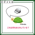 クイズです！このウミガメが「言っていること」はナニ？【難易度LV３.・中辛】