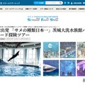 サメの種類日本一！茨城大洗水族館バックヤード探検ツアー