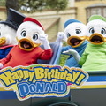 ボリューム満点のドナルドらしいオムライス！TDLグランマ・サラのキッチンのスペシャルセット