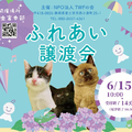青木さやかさん参加！6/15（日）＠富士宮市「運命の家族にも出会うかも…？」仔猫・成猫・犬の譲渡会 画像