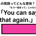 この英語ってどんな意味？「You can say that again. 」 画像