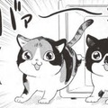 「子猫、永遠に見てられる」…里親になった子猫はわんぱく盛りに感慨…【借金1000万作曲家の人生を変えてくれた猫の話 #４】 画像