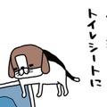 おもちゃで遊んだり、ほとんどしない愛犬。なのに、なぜトイレシートに反応?!【パンダと犬 ＃３】 画像