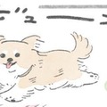 ドッグラン大好きむっく…他の犬にあいさつを…その後に待つことは?!【うちのむっくはいつも楽しそう #４】 画像