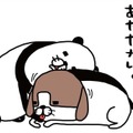愛犬が足をペロペロ。私の手も混ぜると…一緒になめてくれる？【パンダと犬 ＃13】 画像