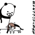 愛犬の顔をよくよく観察。なにやら「わさわさ」している存在が…【パンダと犬 ＃14】 画像