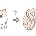 ポメラニアンは成長中の換毛期に「サル」のようになる…?! でもかわいさは今も昔も変わらない【うちのむっくはいつも楽しそう #８ 】 画像