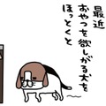 食事はカリカリとジャーキーの繰り返し。全く飽きたそぶりナシ？【パンダと犬 ＃15】 画像