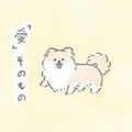 犬の神秘…むっくは胸毛もふわふわ過ぎて「愛」そのものの存在か?!【うちのむっくはいつも楽しそう #９ 】 画像