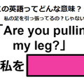 この英語ってどんな意味？「Are you pulling my leg?」 画像