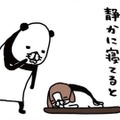 ヨボヨボの愛犬、14歳の梅吉。静かに寝てると思わず取ってしまう行動は？【パンダと犬 ＃24】 画像