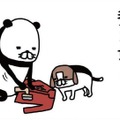 毛取り機でジョリリ～と毛玉除去♪ 愛犬も見守って楽しそう⁉【パンダと犬 ＃25】 画像