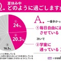 夏休み中どのように過ごすか