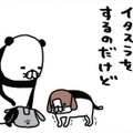 老犬・梅吉がヨボヨボしてイタズラをしに来る…スピードの遅さが逆にかわいい【パンダと犬 ＃32】 画像