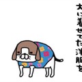 秋冬は犬に洋服を着せていたけど、最近は裸　久しぶりすぎて、ついとっちゃう行動は？【パンダと犬 ＃33】 画像