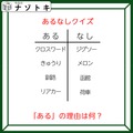 あるなしクイズです！「釧路にあって函館にない」ある方の共通点とは？【難易度LV3.・中辛】 画像