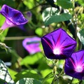 ※画像はイメージです