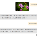 AIとの問答式対話