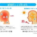 暑熱順化による体の変化