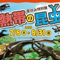 夏休み特別展「熱帯の昆虫2025」