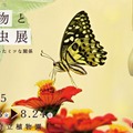 【夏休み2025】京都府立植物園「植物と昆虫展」8/24まで、自由研究にも 画像