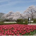 京都府立植物園
