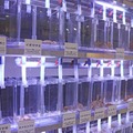 身近な海の生きもの研究所
