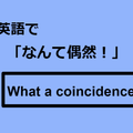 英語で「なんて偶然！」はなんて言う？ 画像