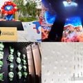 2025年大阪・関西万博で巡る“未来への旅”ガイド 夏に最高の思い出を！ 画像