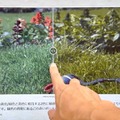 体験展示：ヒトとイヌの色覚を比較してみよう（画像提供：野口 靖氏）