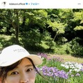 元モー娘。飯田圭織、彩り豊かな手作り弁当公開「料理上手」「栄養満点」絶賛の声 画像
