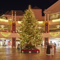 10年ぶりにホリデーの新パレードが誕生！東京ディズニーリゾートのXmas情報