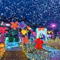 伊豆ぐらんぱる公園で体験型イルミネーション、11月7日から “龍の大冒険”コンセプトに新たな演出 画像