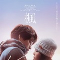 宮沢氷魚＆石井杏奈＆宮近海斗『楓』に出演、スピッツの名曲が紡ぐ本予告解禁 画像