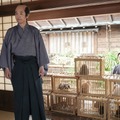 朝ドラ「ばけばけ」トキの父・司之介（岡部たかし）巡る不穏展開に心配の声相次ぐ「怪しすぎる」「騙された？」 画像