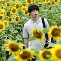坂口健太郎×渡辺謙『盤上の向日葵』桑田佳祐の“口笛Ver.”が重要シーンに採用　主題歌特別映像も解禁 画像