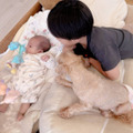辻希美、生後1ヶ月次女に三男＆愛犬が寄り添うほっこりSHOT披露「仲良し」「可愛い」 画像