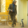 『ペンギン・レッスン』
