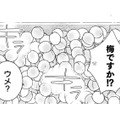 今回のいただきものは梅！いいにおいだけど味は甘くないこの実の使い道は…？【トゥットでアペロ #21】 画像